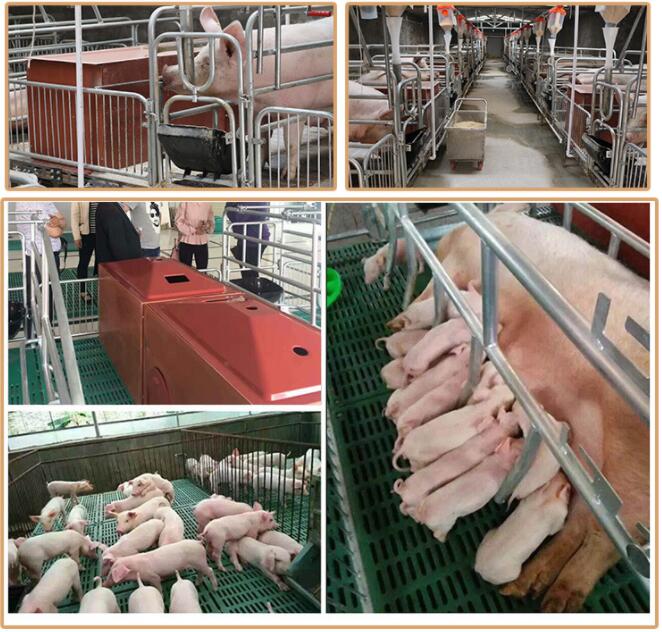 1559117267263529.jpg 1559117267263529.jpg